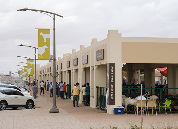 Sharjah Livestock Market Welcomed 150,000 Visitors during First Quarter of 2023